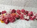 IMG_20250202_002921.webp