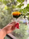 WhatsApp Image 2025-07-18 at 12.27.18_5c4b7889.webp