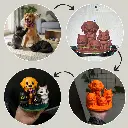 Untitled design (27).webp