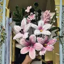 Untitled design (5).webp