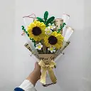 Untitled design (8).webp