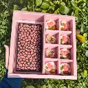 Untitled design (1).webp