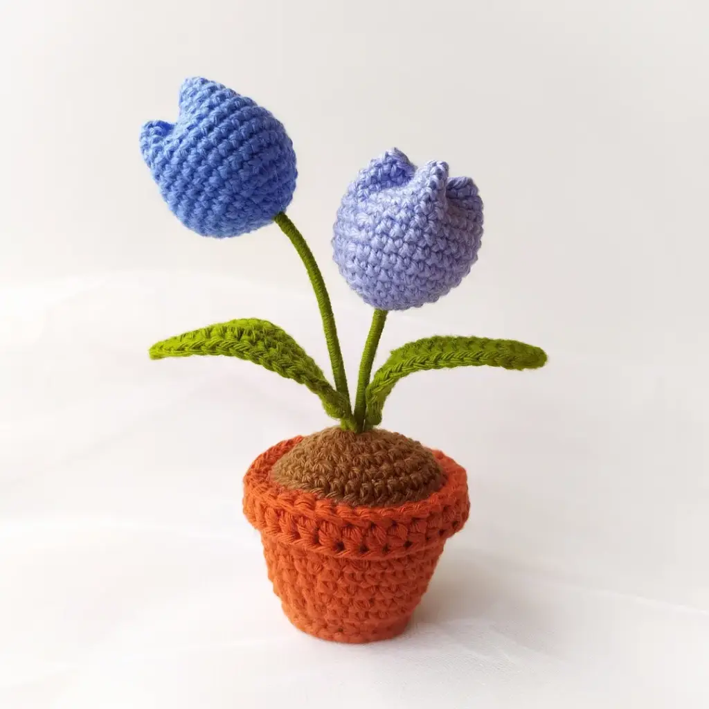 Untitled design (45).webp