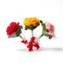 Tiny Crochet Flower Set