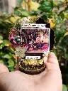 3-Inch Mini Resin Photo Stand