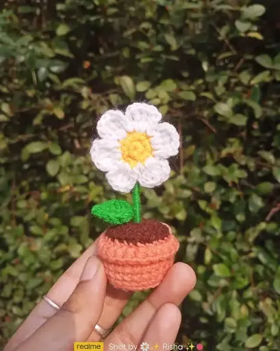 Mini Daisy Flower Pot