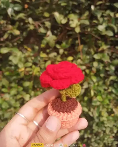 Mini Crochet Rose Pot