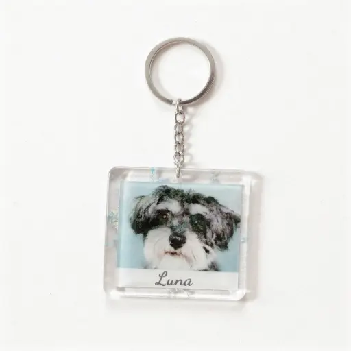 Pet Keychain